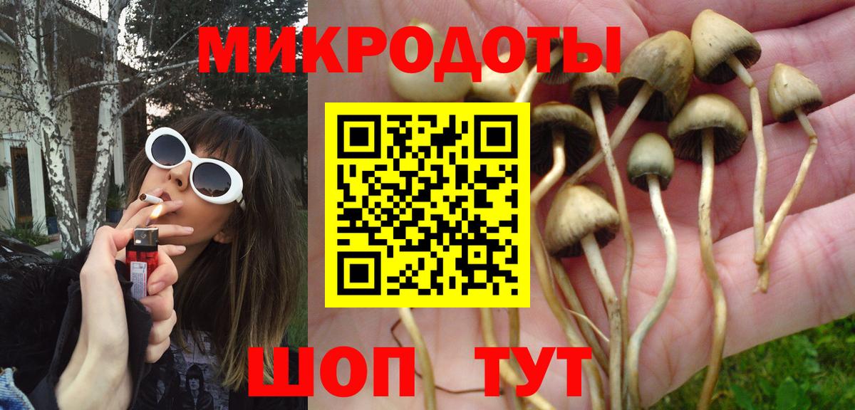 Черногорск  Галлюциногенные грибы Magic Shrooms  Вход с VPN 